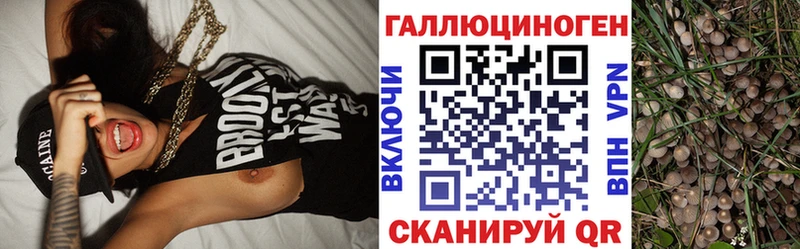 Галлюциногенные грибы Cubensis  закладки  Судак 
